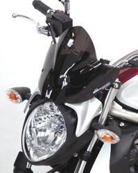 Obrázek produktu WSCRN SUZ SFV 650 GLADIUS BS118SVFN