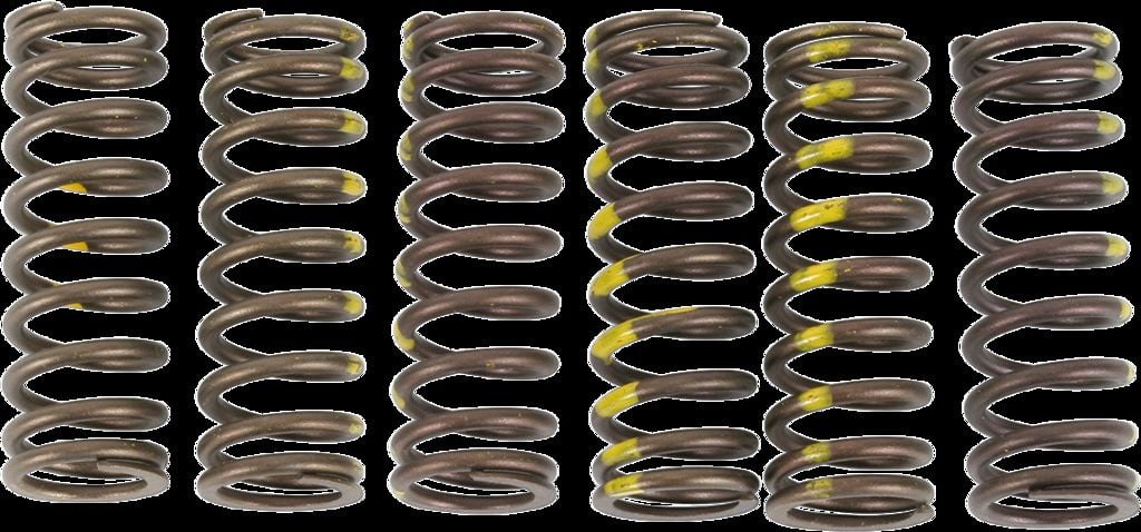 Obrázek produktu PRUŽINY SPOJKY RMZ450 CSS05450