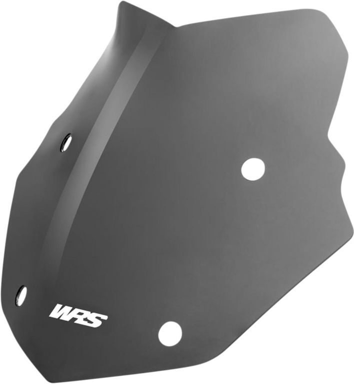 Obrázek produktu WSCRN ENDURO R1250GS DSMK BM026FS