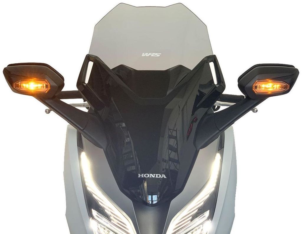 Obrázek produktu WSCRN SPORT FORZA300 SMK HO023F