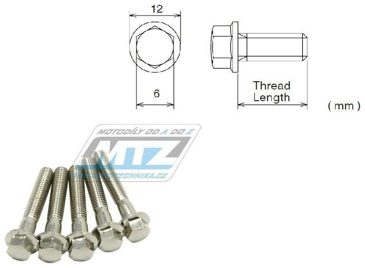 Obrázek produktu Šroub OCEL TAPER - Steel Taper Bolt - D58-31-816 - M8x16mm - stříbrný DF5831816