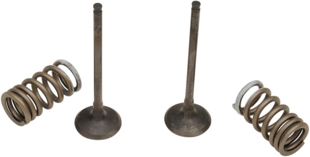 Obrázek produktu SADA VENTILŮ EX/PRUŽINA RM-Z250 28.SES3338-1