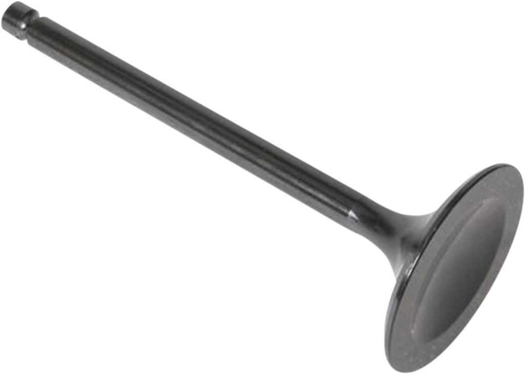 Obrázek produktu SACÍ VENTIL XR500/XR600 30-3003