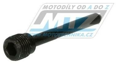 Obrázek produktu Čep brzdového třmenu přední - Kawasaki ZX6RR-ZX6R+ZX10R + ZR1100+Z1000+VN1600 + Suzuki GSXR600+GSXR750-GSXR1000 TMPPS-911