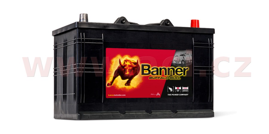 Obrázek produktu 110Ah baterie 800A, pravá BANNER Buffalo Bull 344x175x214(230) 61011