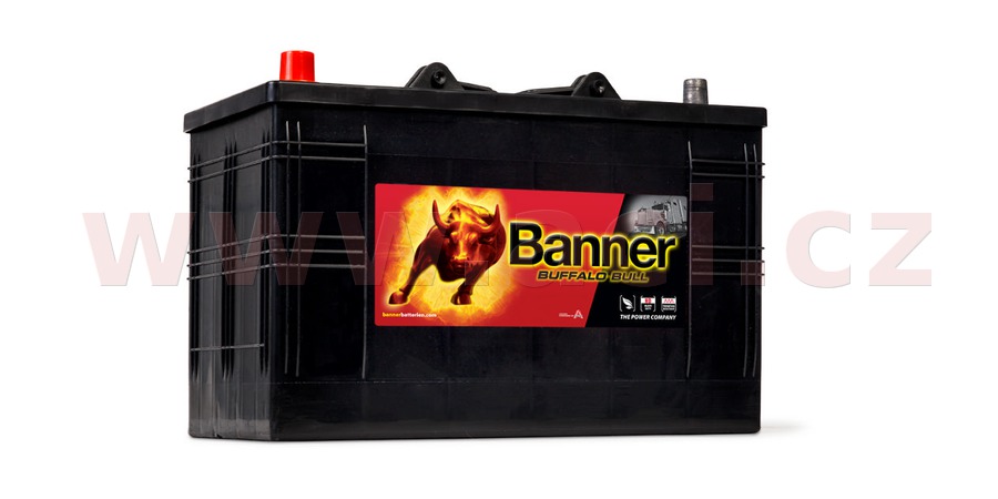 Obrázek produktu 110Ah baterie 800A, levá BANNER Buffalo Bull 344x172x214(230) 61048