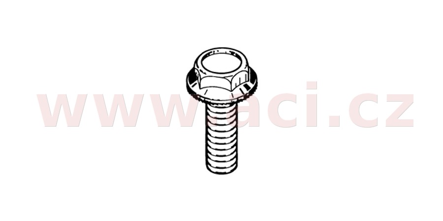Obrázek produktu speciální šroub (sada 10 ks) 41177
