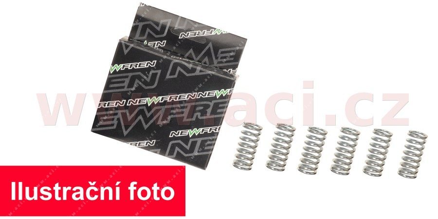 Obrázek produktu NEWFREN Sada spojkových pružin Minarelli APRILIA RS, RIEJU RR,RS1, YAMAHA TZR 50 97-05 MO613F