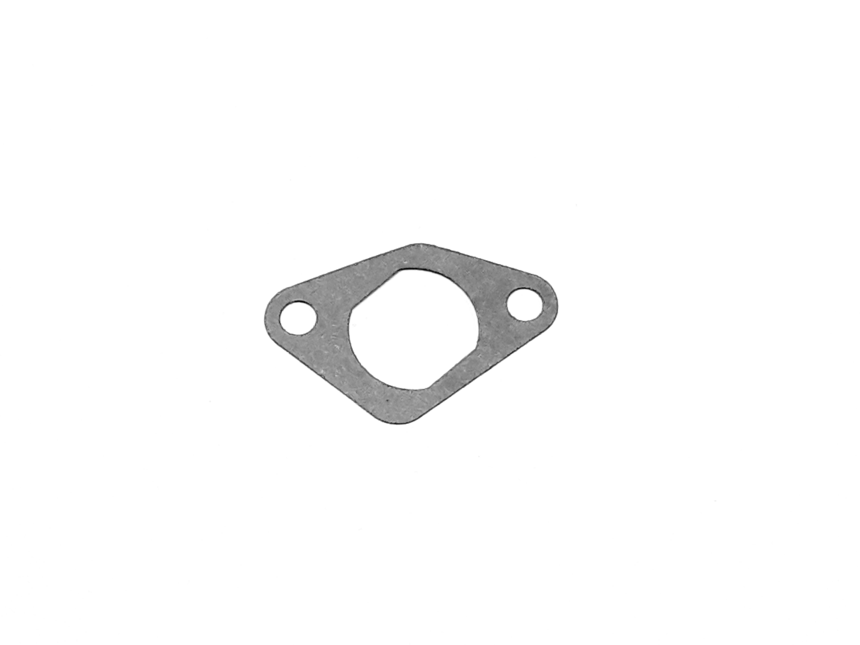 Obrázek produktu GASKET TENSIONER CASE 22716