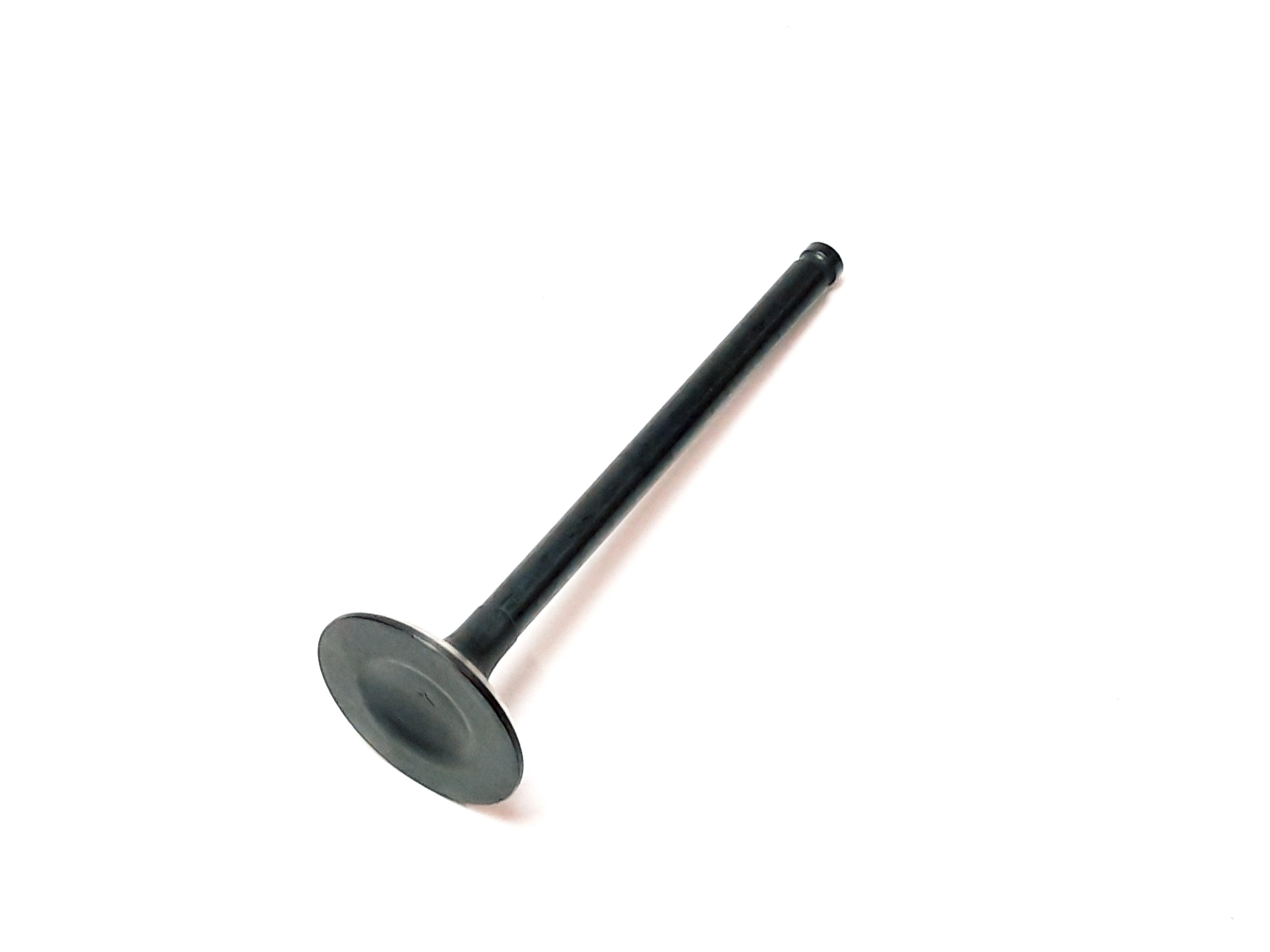 Obrázek produktu EXHAUST VALVE 71875