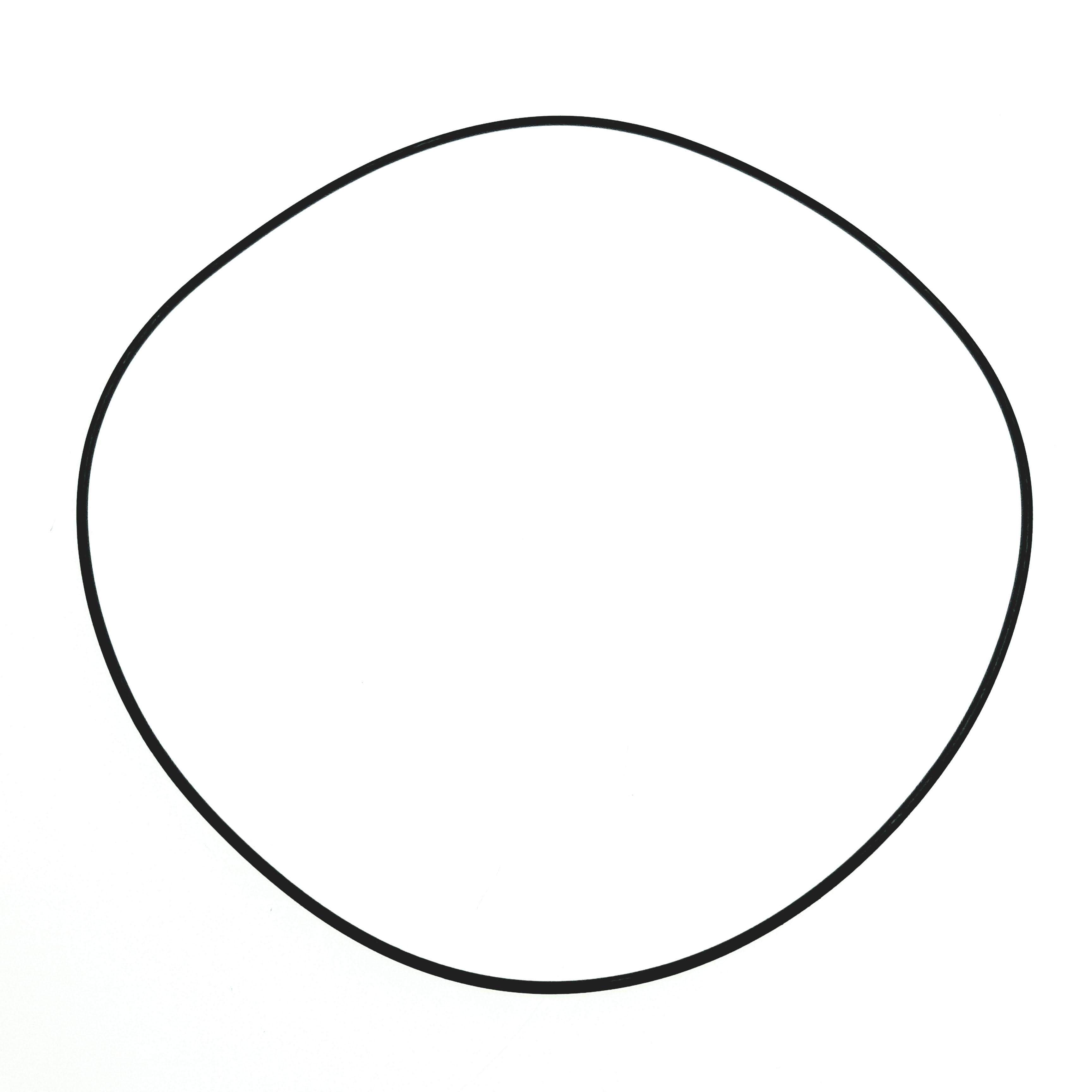 Obrázek produktu O RING 910673