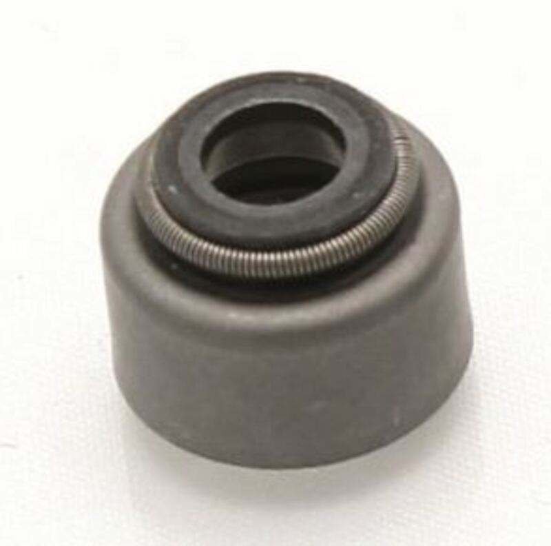 Obrázek produktu CENTAURO Těsnění dříku ventilu - sada 10 kusů U060110KM