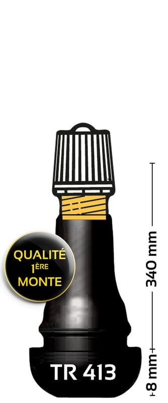 Obrázek produktu BIHR TR413 Ventil pro pneumatiky s drážkou - balení po 100 kusech 2014