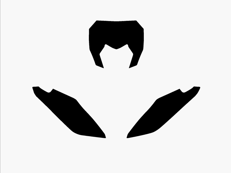 Obrázek produktu BLACKBIRD Plate Nálepky Black Fantic XX 3F00/000006