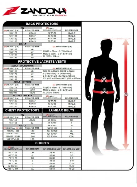 Obrázek produktu Chránič páteře ZANDONA HYBRID BACK PRO X6 (158-167cm) 1306 bílý LEVEL2