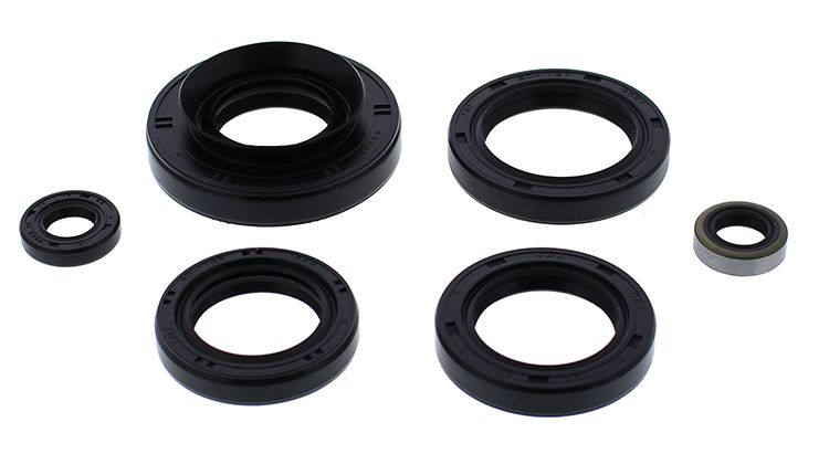 Obrázek produktu Sada gufer motoru WINDEROSA EOSK 822366 822366