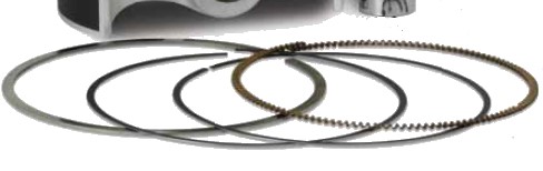 Obrázek produktu Rings VERTEX 590354500001 5,90355E+11