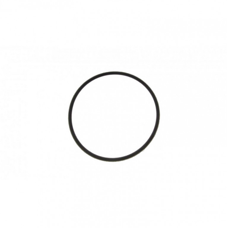 Obrázek produktu O-ring for thermostat ATHENA