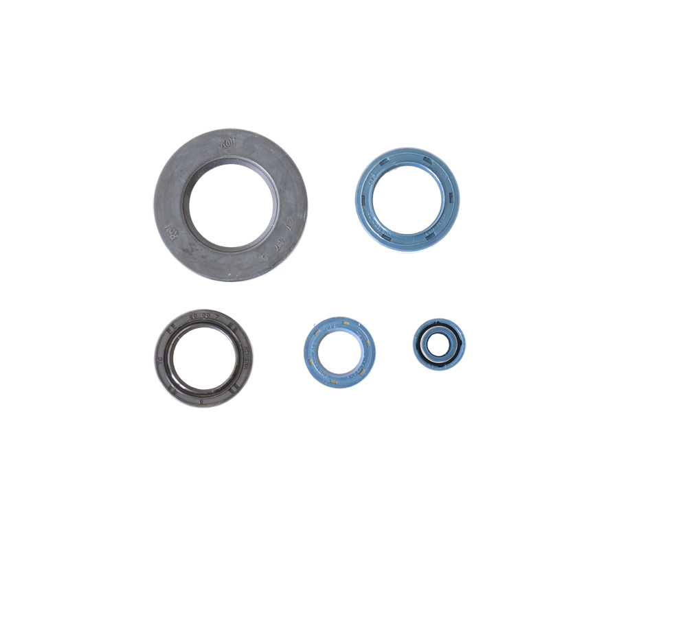 Obrázek produktu Sada gufer motoru ATHENA P400120400030 P400120400030