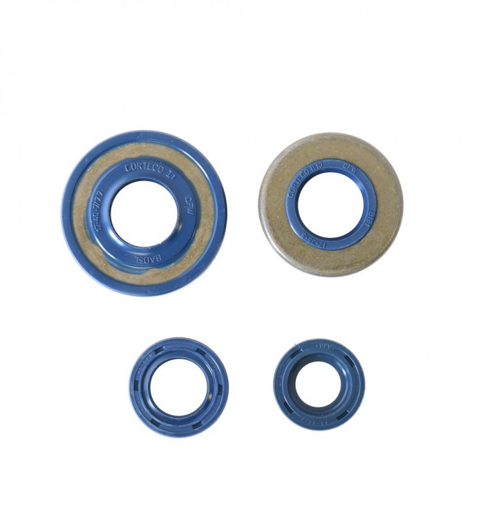 Obrázek produktu Sada gufer motoru ATHENA P400130400160 P400130400160