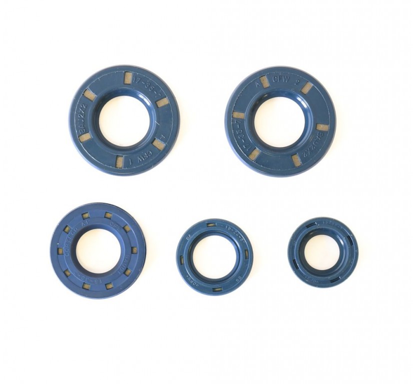 Obrázek produktu Sada gufer motoru ATHENA P400150400160 P400150400160