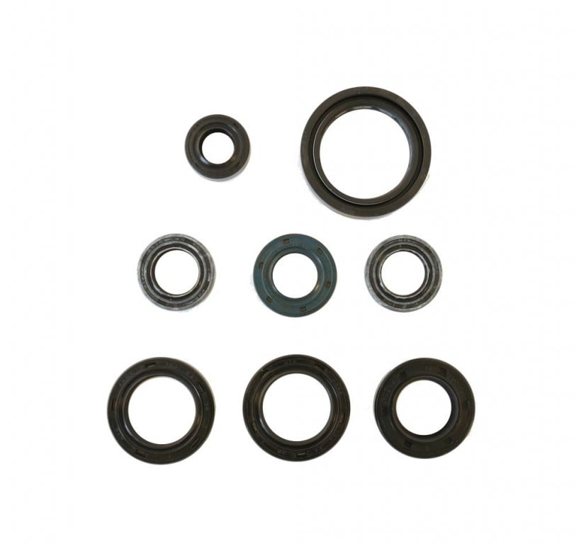 Obrázek produktu Sada gufer motoru ATHENA P400210400100 P400210400100