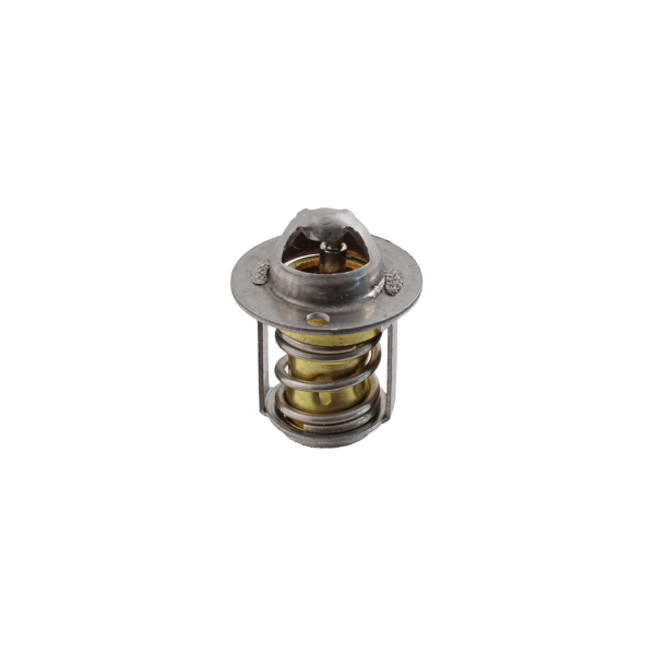 Obrázek produktu Termostat RMS 100120790 100120790